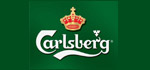 Logo Carlsberg - Visita il sito